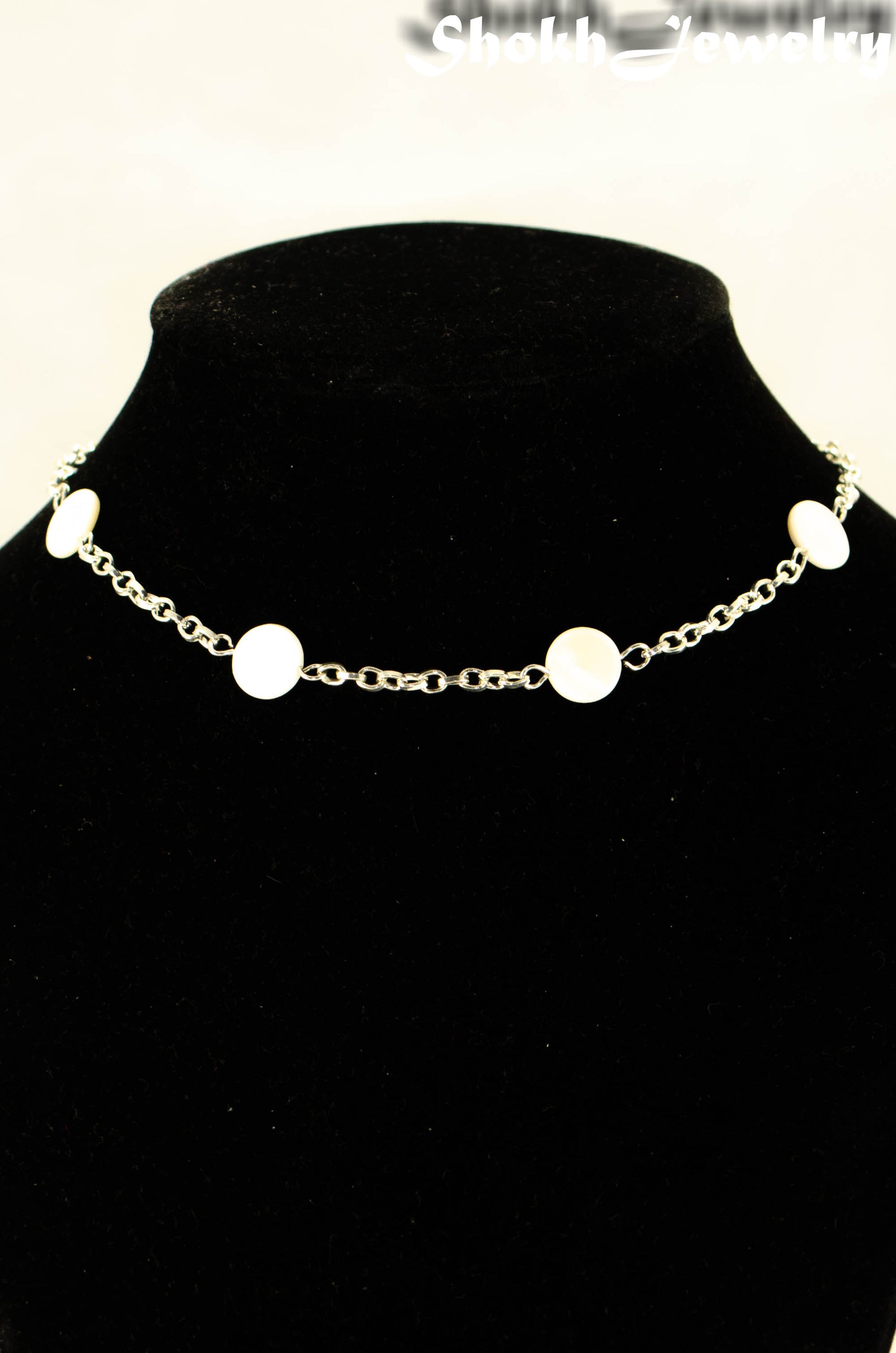 Close up of Seashell and Dainty Chain Choker Necklace.