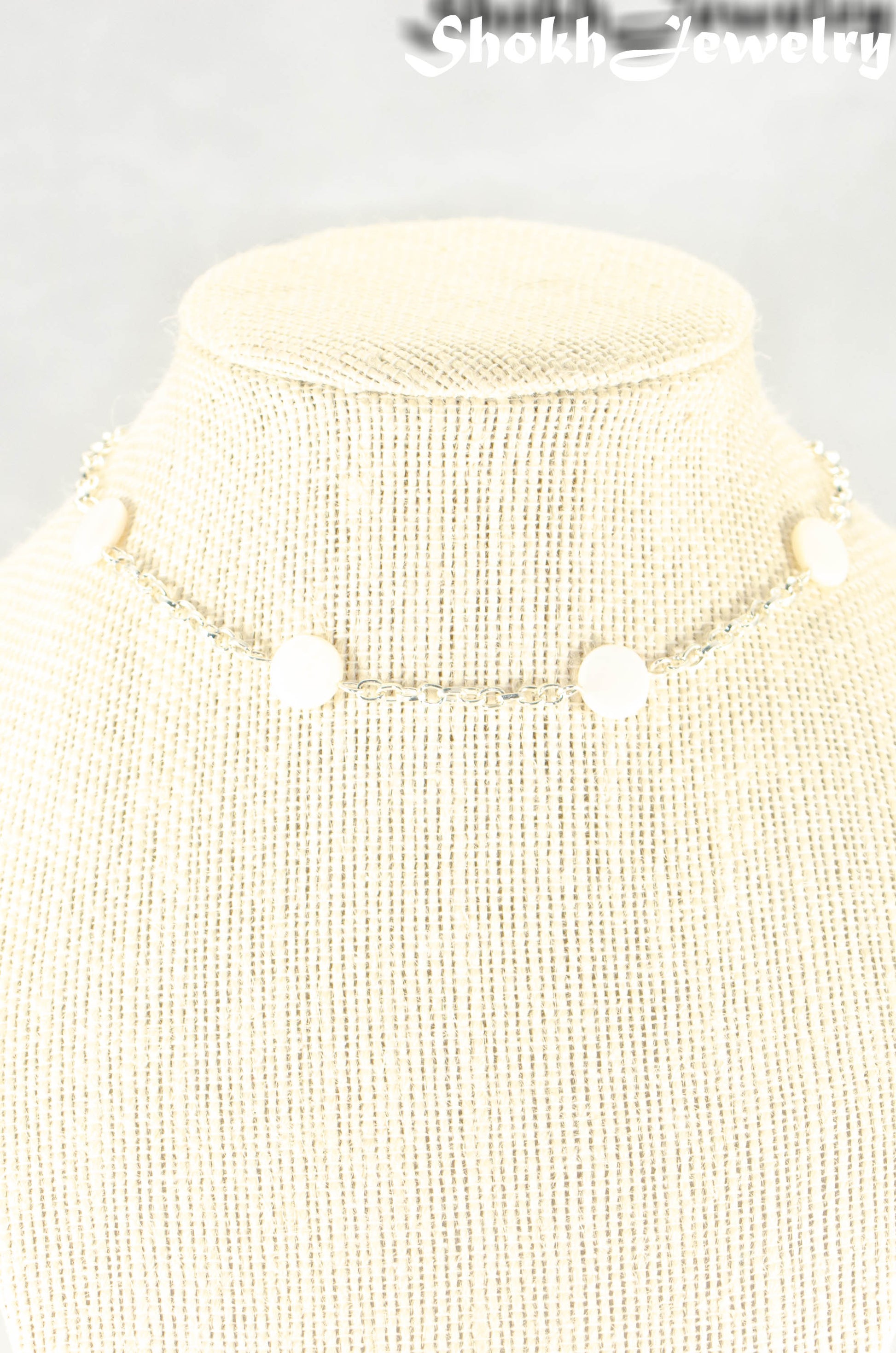 Close up of Seashell and Dainty Chain Choker Necklace.